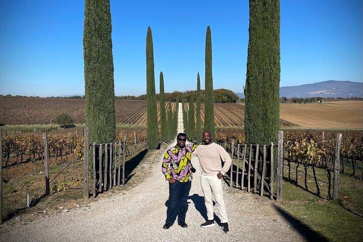 Montepulciano Vineyards Wine Tour with 3 Estates Visit