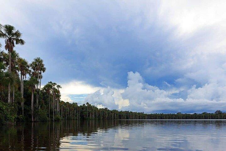 From Puerto Maldonado Lake Sandoval Jungle Trek Full Day