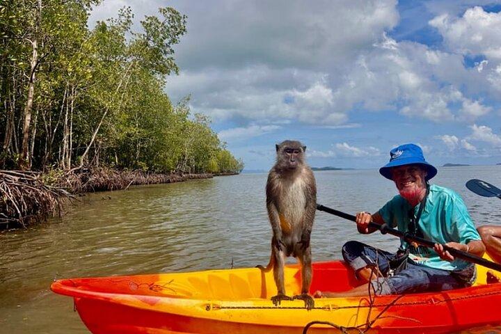 Ko Lanta Mangrove Kayaking Tour With Lunch and Lanta Old Town