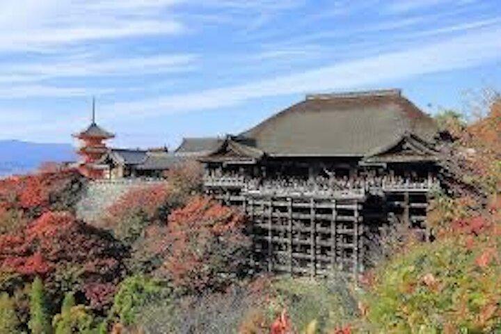 Private Customizable Kyoto Day Tour by Car