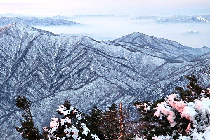 Seoraksan, Eobi Ice Valley & Nami Island Winter Tour from Seoul