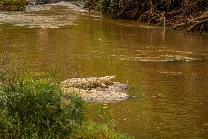 Nairobi National Park Tour