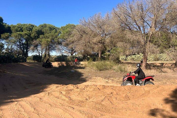 Hammamet : Quad adventure through the hills