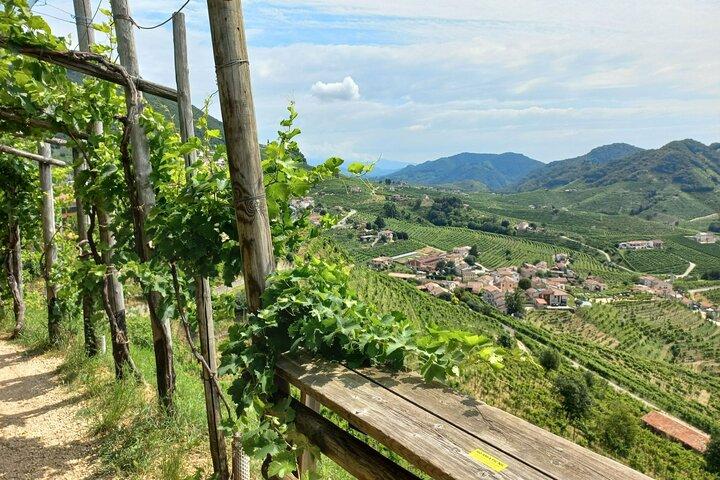 Prosecco Hills Day Trip from Venice & Treviso: 2 Wineries