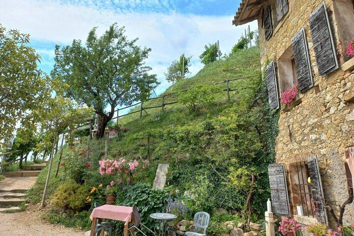 Prosecco Hills Day Trip from Venice & Treviso: 2 Wineries