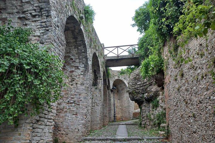 Prosecco Hills Day Trip from Venice & Treviso: 2 Wineries