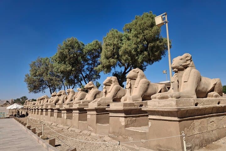 Full day tour to the East and west banks of luxor .