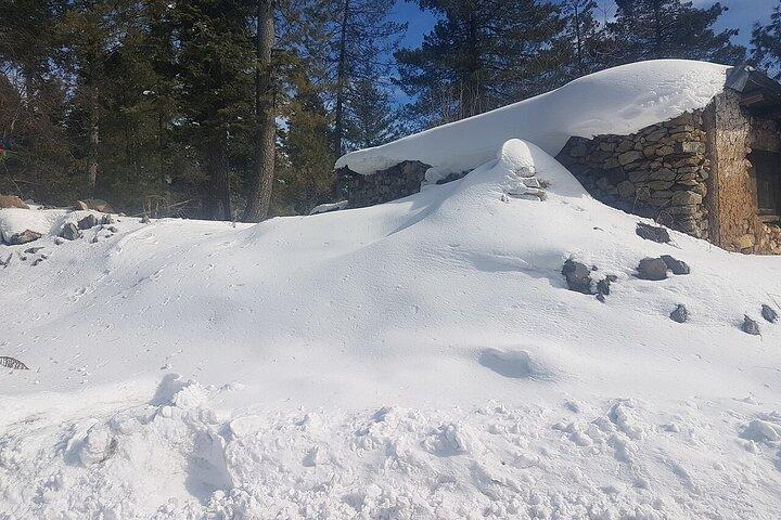 Snow Adventure in Shogran Thandiani Murree and Galyat from Lahore