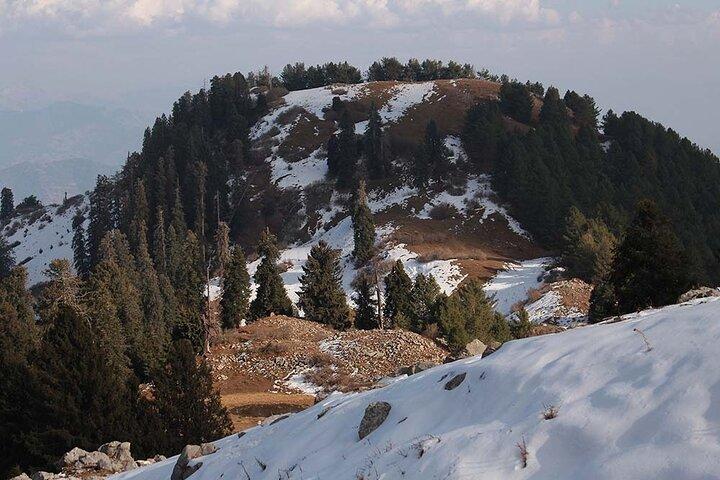 Snow Adventure in Shogran Thandiani Murree and Galyat from Lahore