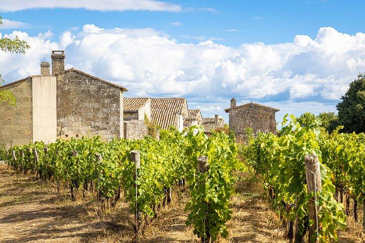 From Bordeaux: Saint‑Émilion Wine & Village Day Trip