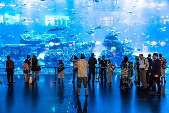 Dubai Aquarium and Underwater Zoo with Penguin Cove Tickets