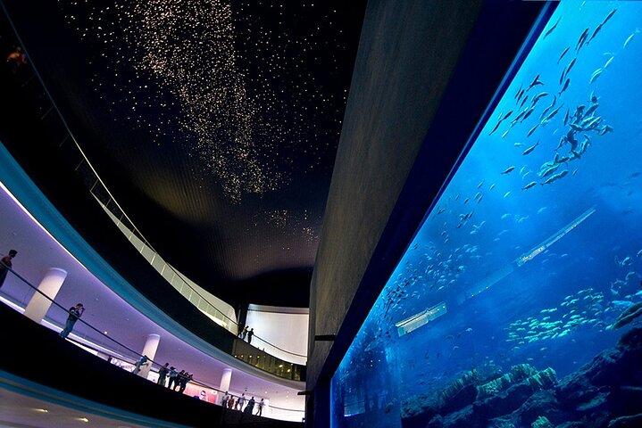 Dubai Aquarium and Underwater Zoo with Penguin Cove Tickets