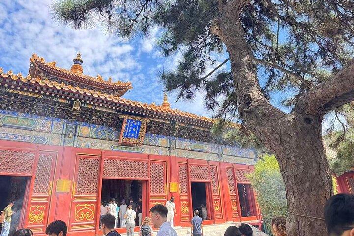 Beijing Half Day Tour : Temple of Heaven with Lama Temple