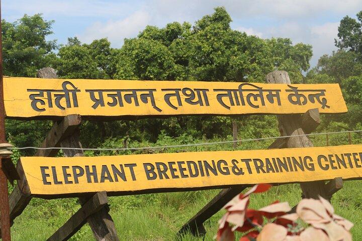 8 Days Nepal Tour Package: Kathmandu, Pokhara & Chitwan Safari