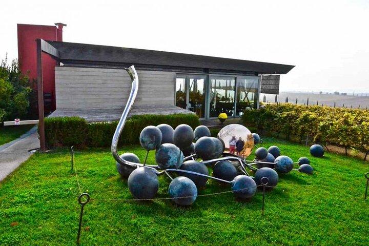 Private Tour from Vineyards to seaside Bliss in Thessaloniki