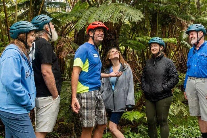 Big Island: Fat Tire E-Bike Tour through Volcanoes National Park