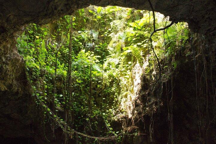 Private Cenotes Puerto Morelos