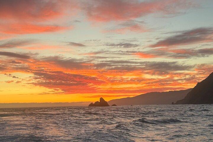 Catalina Island Sunset Cruise with Wildlife Viewing