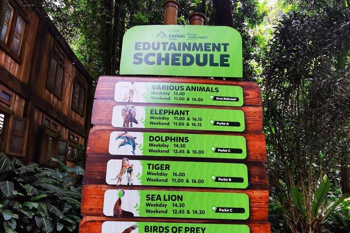Jakarta Bogor Taman Safari Indonesia Private Car Tour Experience