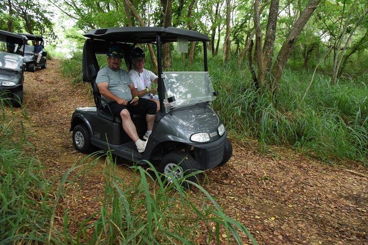 Roatán Zipline Sloths Golfcart VIP Beach Adventure with Lunch