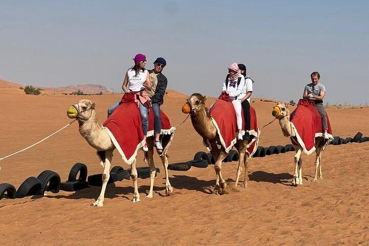 Dubai Private Red Dunes Safari (Lahbab) Dinner & Live Shows