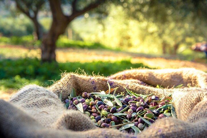 Argostoli & Beyond: Villages, Olive Oil & Honey Tasting