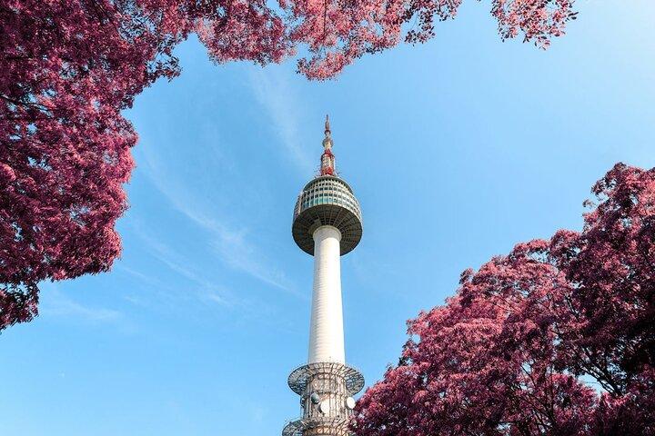 Premium Private DMZ Tour with Suspension Bridge or N Seoul Tower
