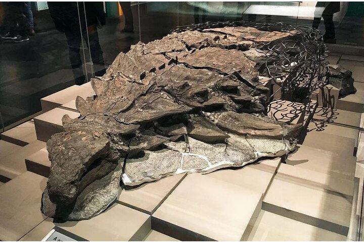 Drumheller Day Trip Museum, Dinosaurs and Historic Sites
