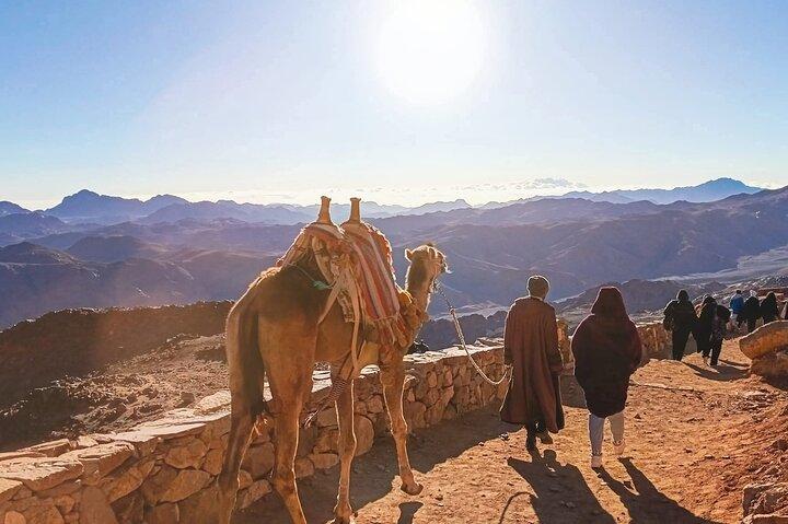 from Cairo overnight to St Catherine Monastery and Sinai mountain