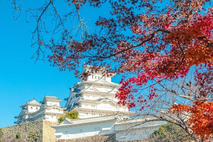 Half Day Tour in Himeji Castle and Koko-en