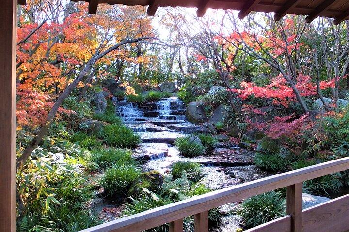 Half Day Tour in Himeji Castle and Koko-en