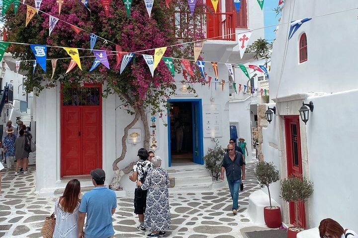Half Day Tour Mykonos Experience