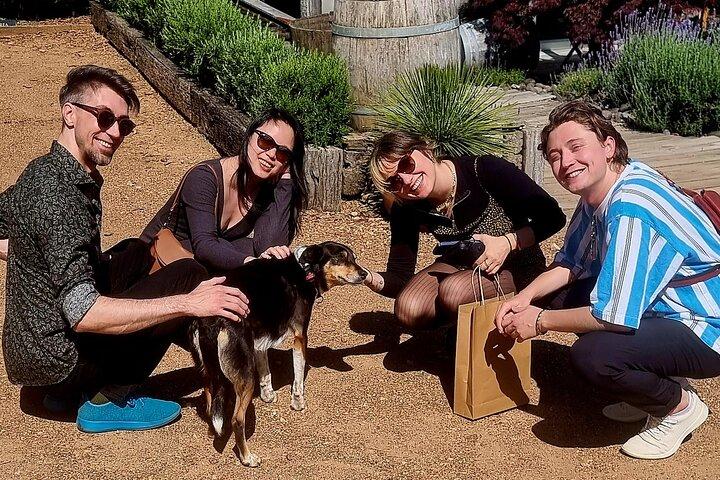 WAIHEKE ZEITGEIST Small Groups Ultra Boutique Off Grid Wine Tours
