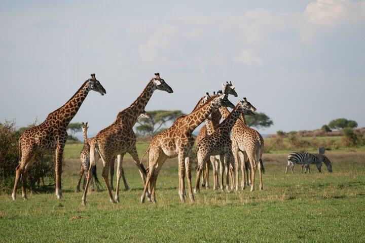 5 Day Explore the Wonders of Calving Season Mid Range Adventure