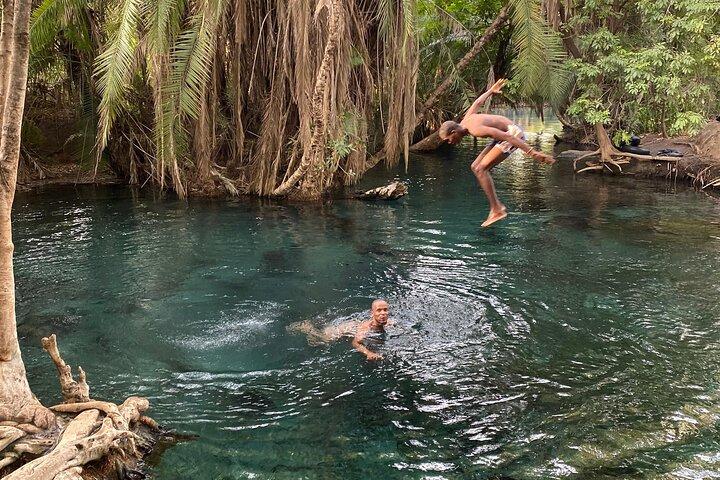 Kikuletwa (chemka) Hot Springs