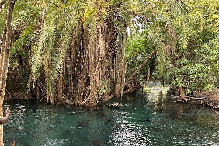 Kikuletwa (chemka) Hot Springs