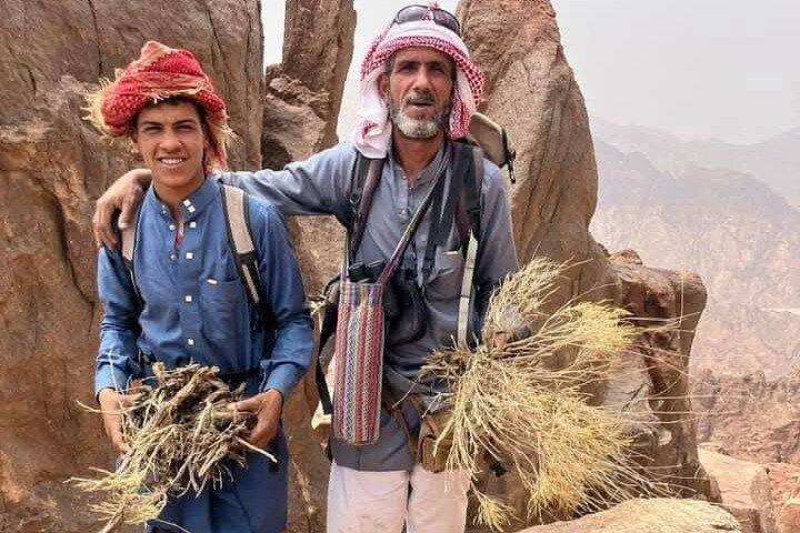 from Cairo overnight to St Catherine Monastery and Sinai mountain