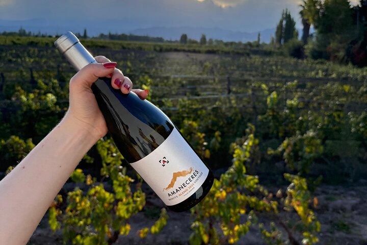 Mendoza Wine Tasting at Bodega Ciclo Andino with Snacks
