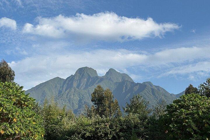 One Day Gorilla Trekking in Volcanoes National Park