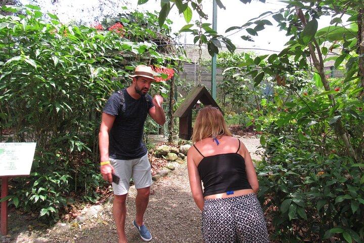 Wildlife boat tour Panama Canal Sloth Sanctuary Butterfly Garden