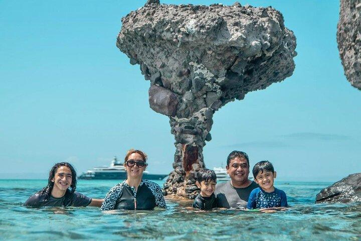 Holy Spirit Island Tour and snorkeling with sea lions