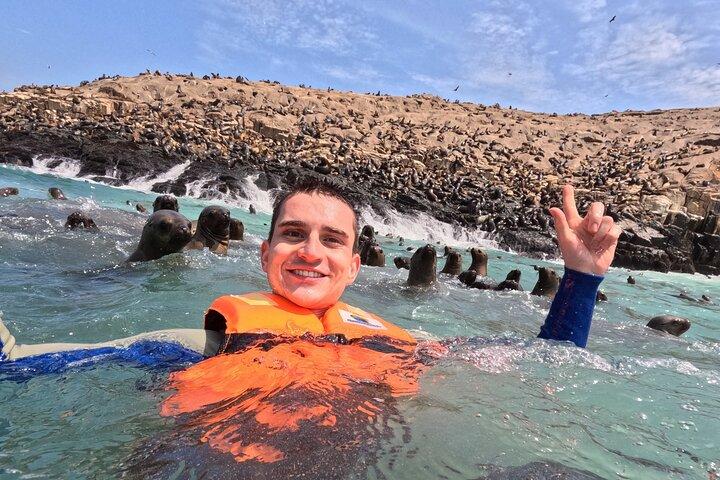 Swim with sea lions in tourist boat Palomino Islands LIMA