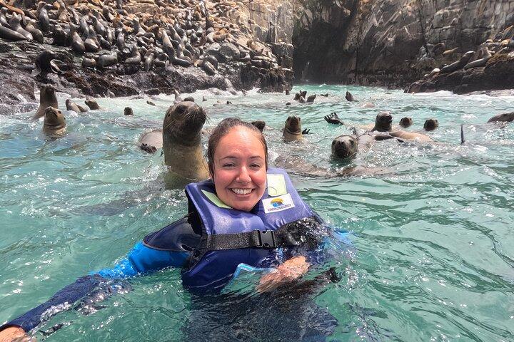 Swim with sea lions in tourist boat Palomino Islands LIMA