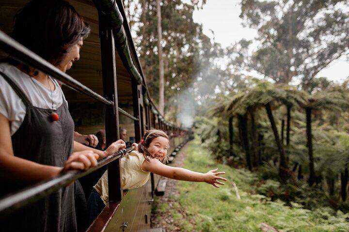 Puffing Billy, Forest Trails and Yarra Valley Discovery Tour
