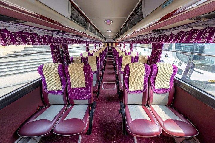 Hanoi: Cat Ba Island Transfer with Shuttle Bus or Limousines