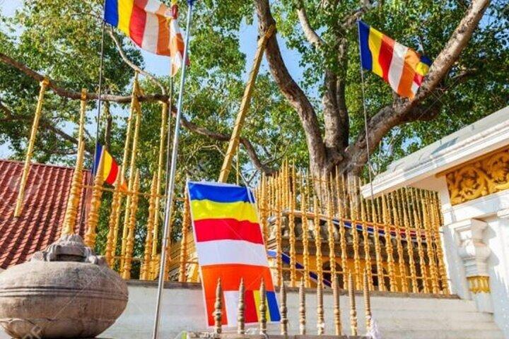 Anuradhapura: Private Tuk Tuk Tour – Temples & Hidden Ruins