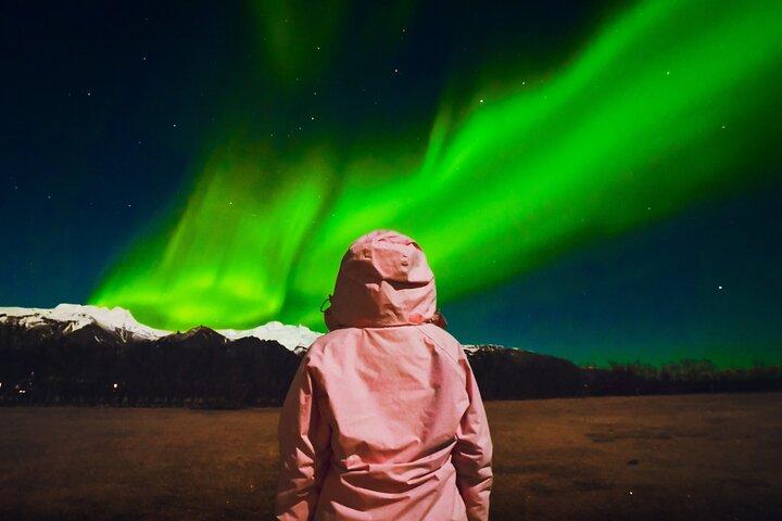 Reykjavik: Northern Lights Coach Tour with Live Forecast