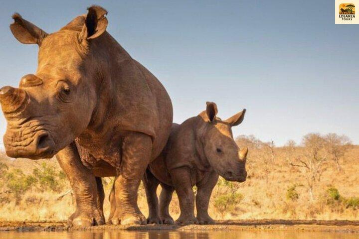 8 Day Private Safari Tour Across Tanzania’s Wildlife Wonders