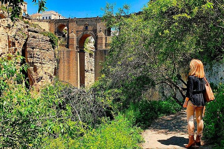 Round and Setenil of the Wineries with Transport from Malaga