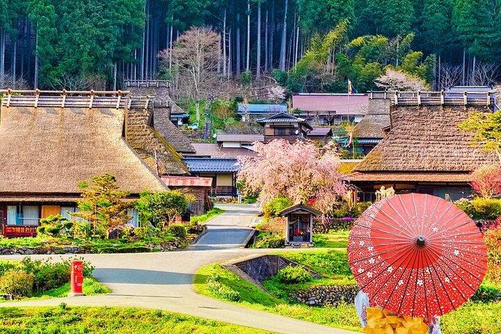 Kyoto Amanohashidate & Miyama & Ine Funaya Day Tour